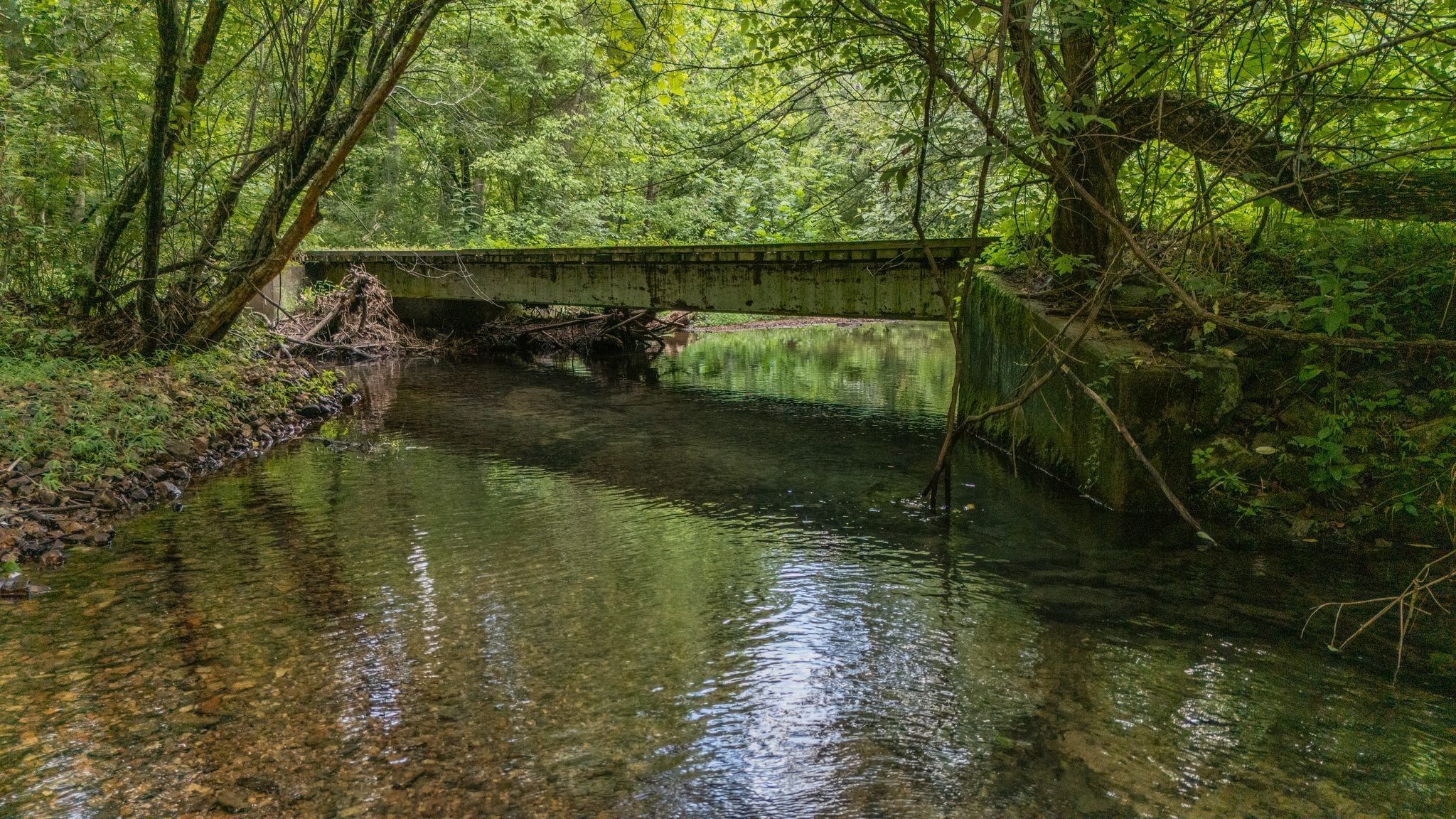 1949 Ugly Creek Road