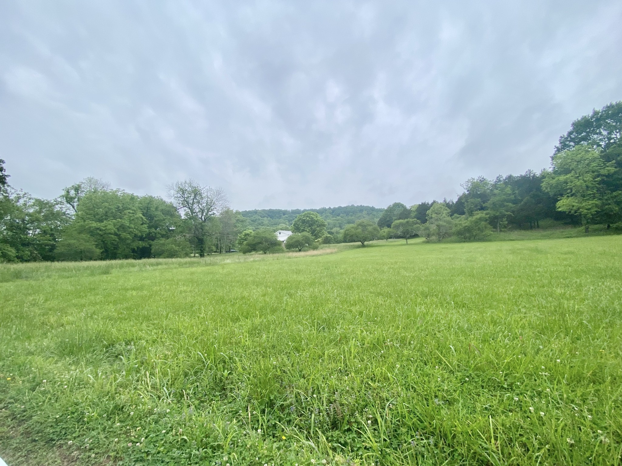 2669 Lick Creek Rd 2669A&B,2685A&B
