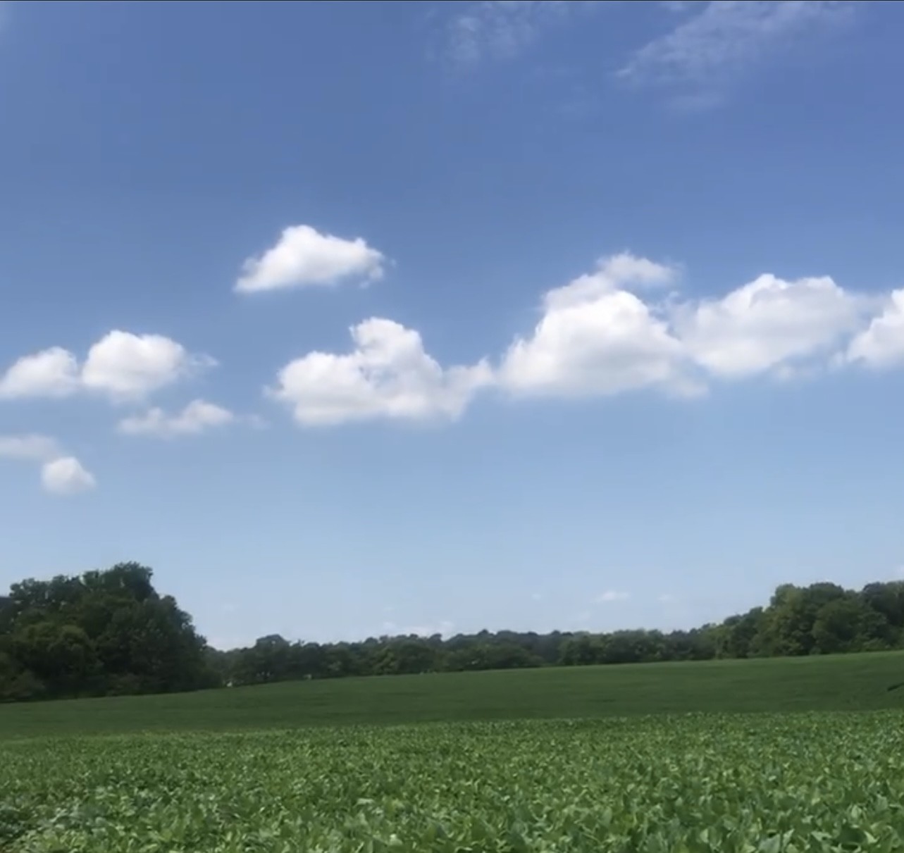 0 Branham Mill Road