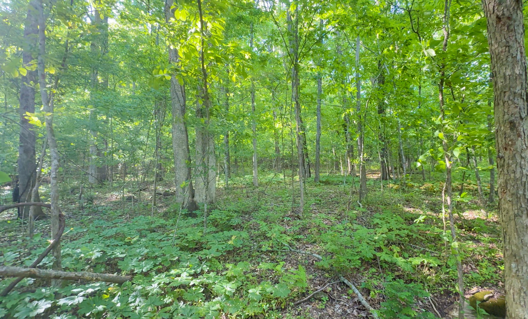 130 Ben Johnson Rd