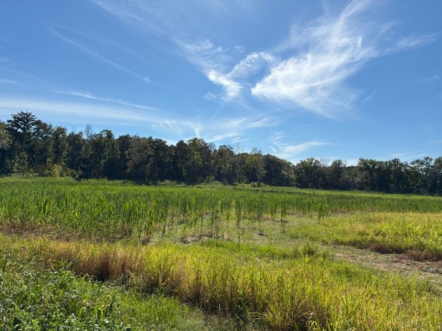 13197 Johnson Grove Rd