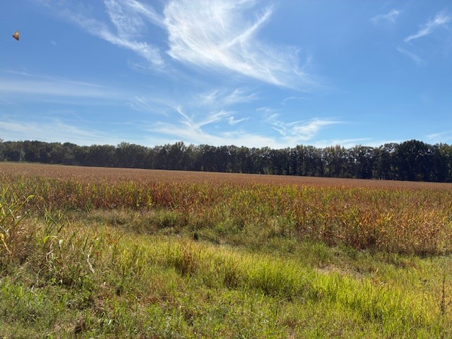 13197 Johnson Grove Rd