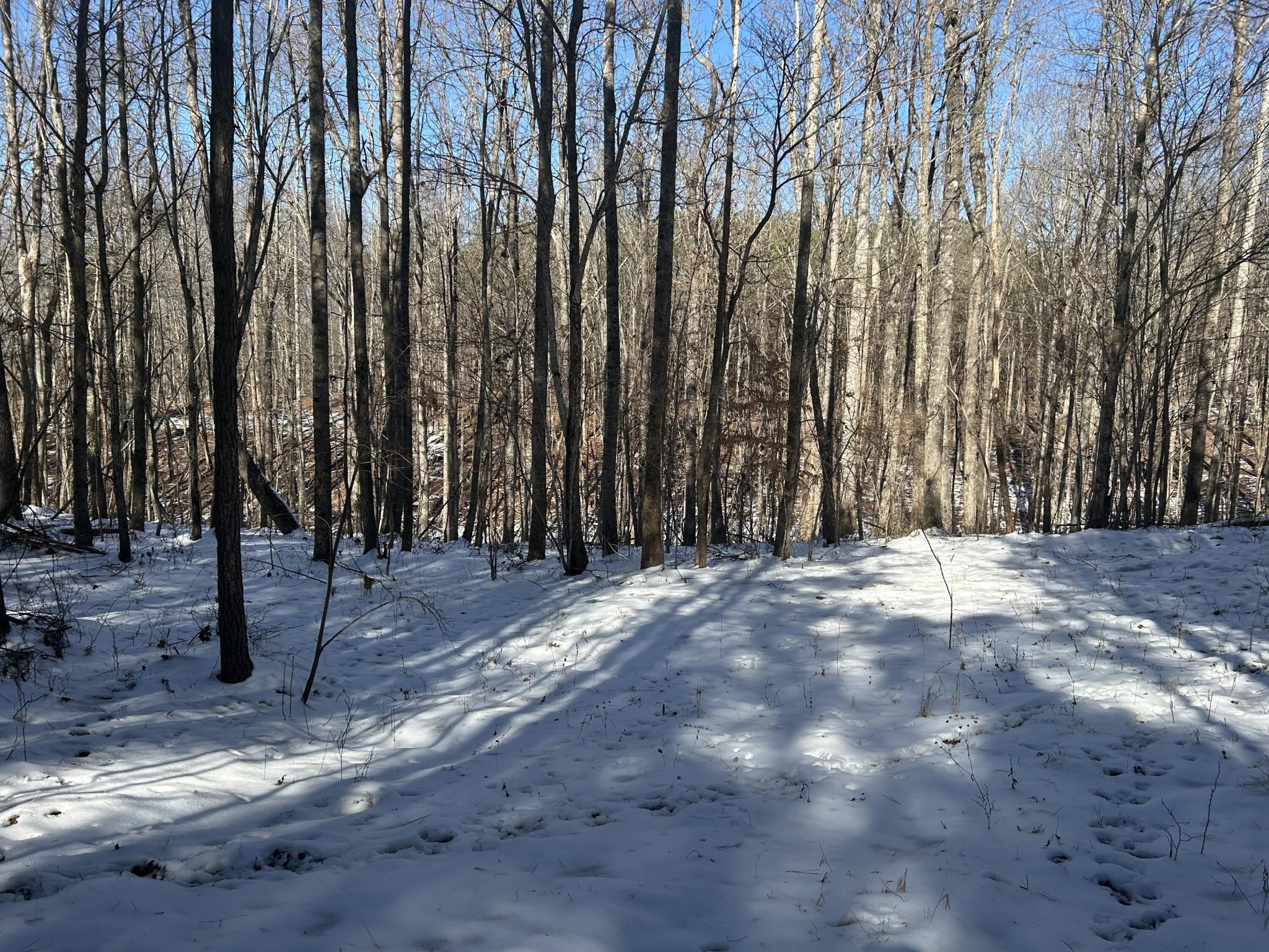 320 Waterwheel Way