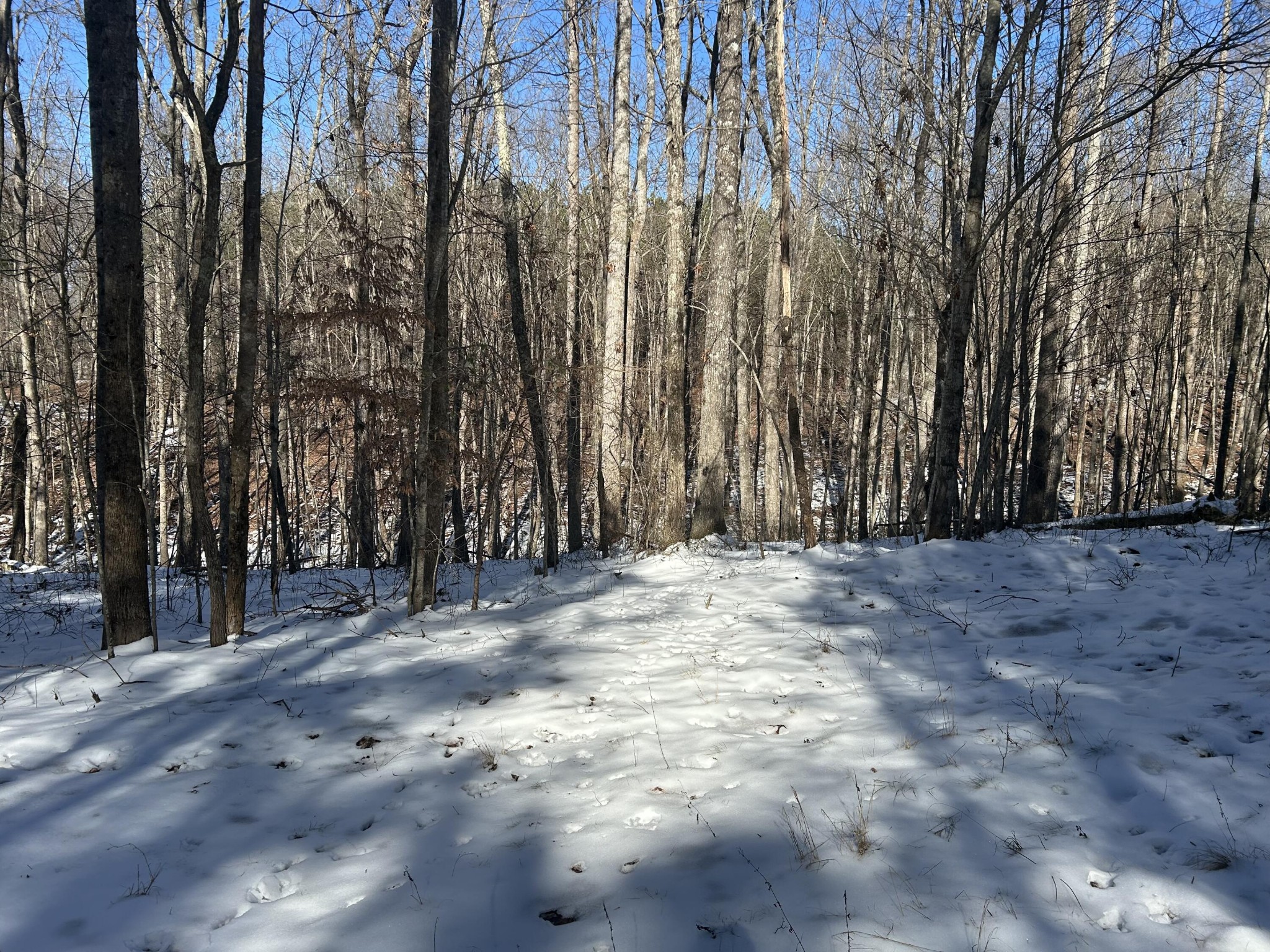 320 Waterwheel Way