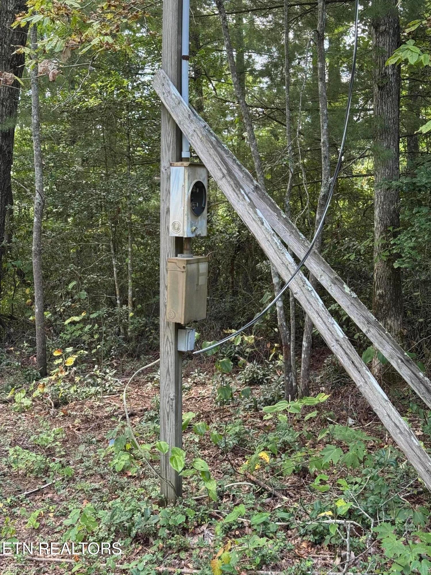 837 Bear Hollow Rd
