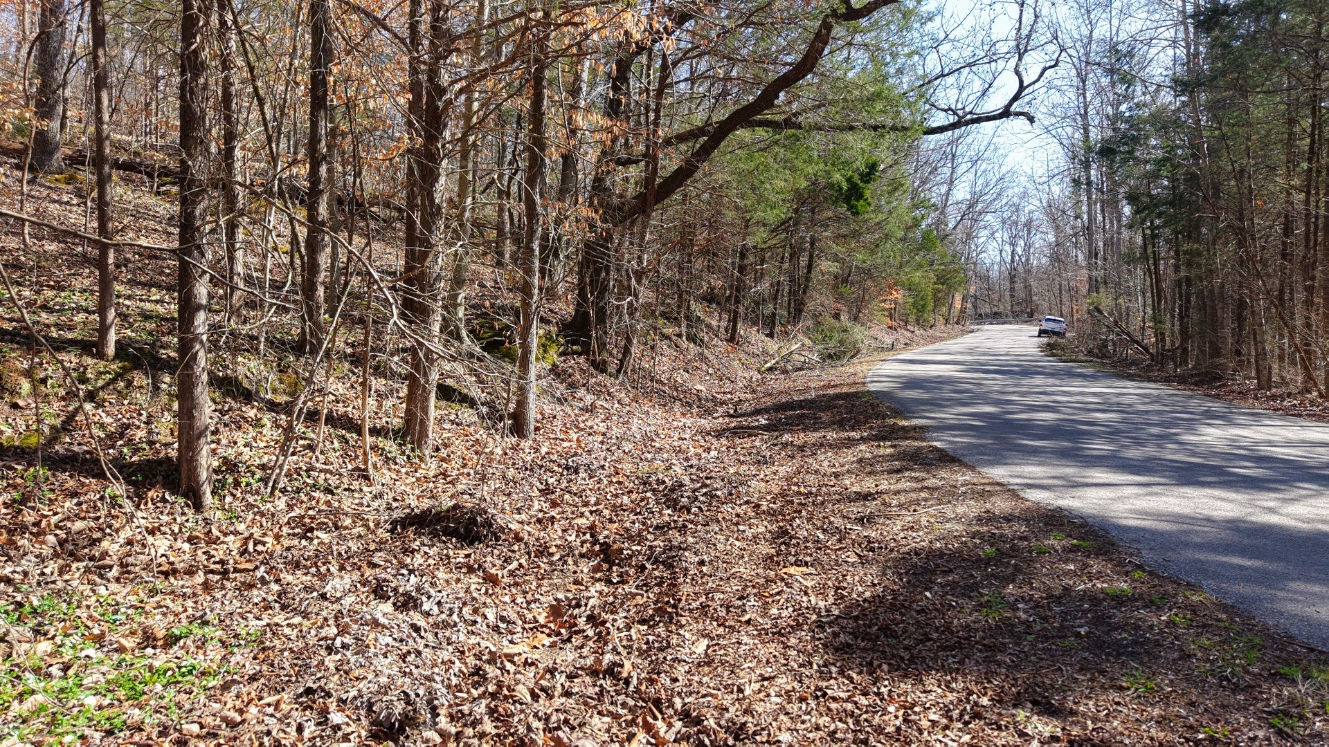 listing at 0 Hwy 100, Nashville
