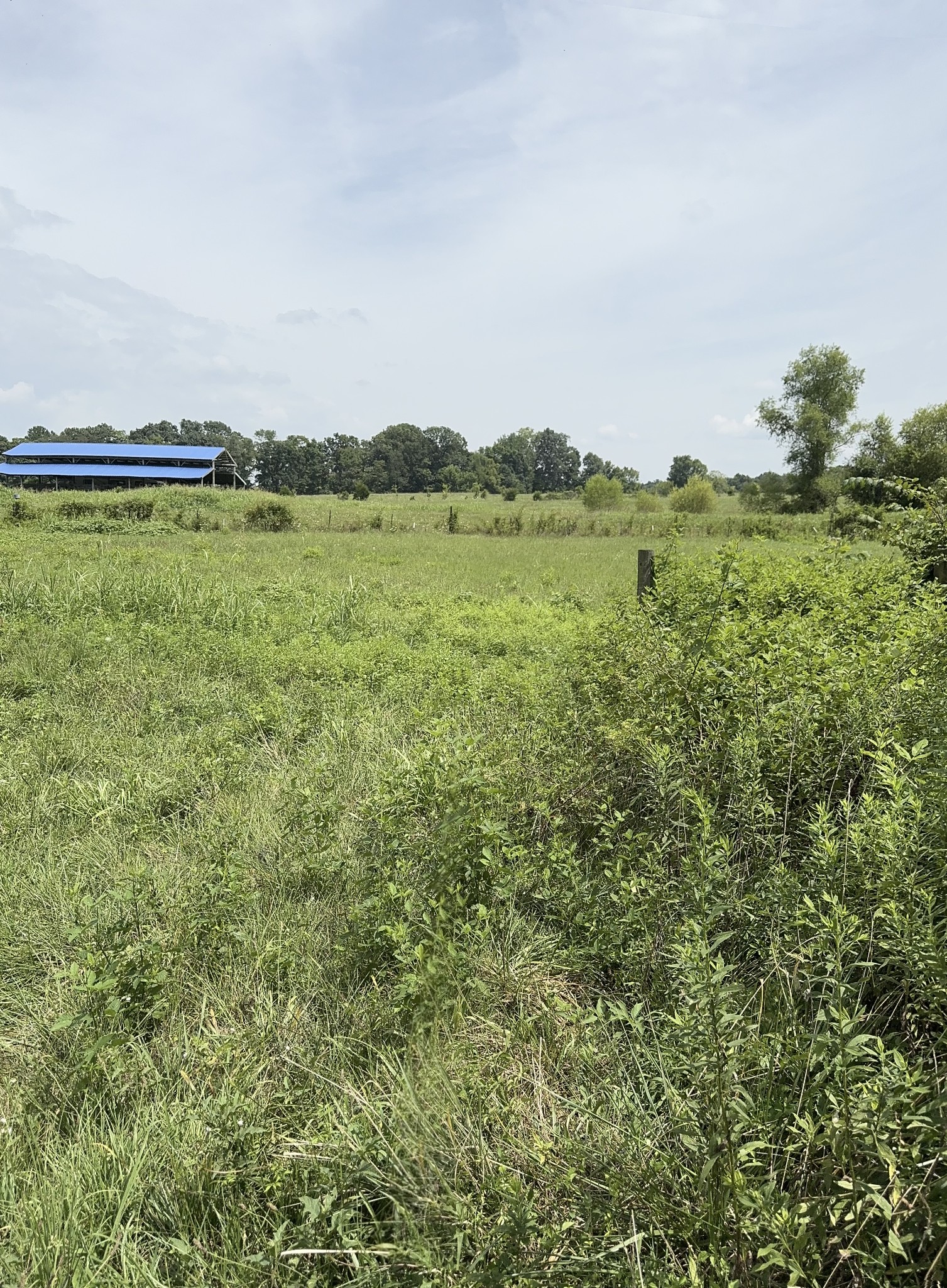 1322 Hershal Lyles road