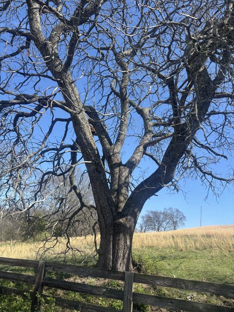 9849 Sam Donald Rd Nolensville TN 37135