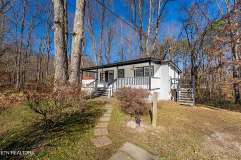 6620 Collins Lane Knoxville TN 37918