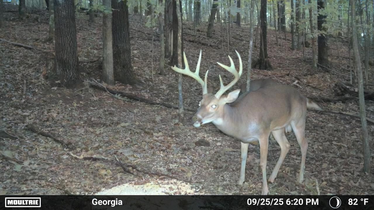 225 Kelso Smithland Rd