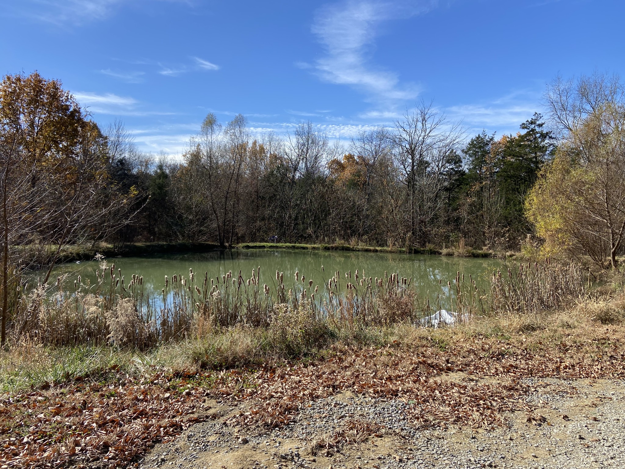 225 Kelso Smithland Rd