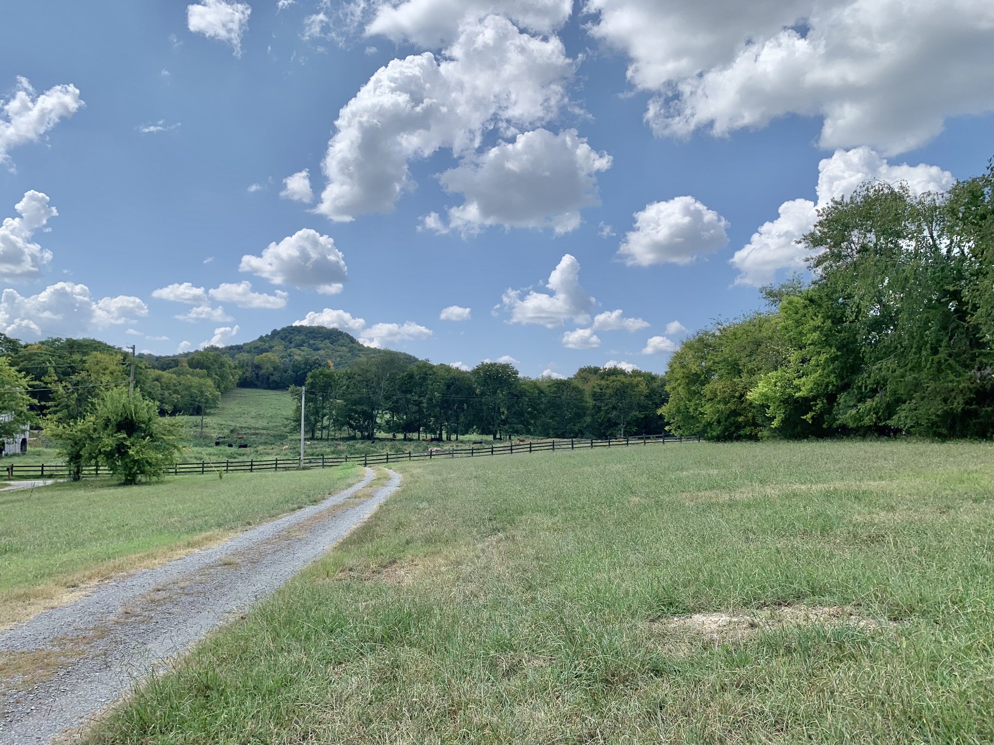 198 Pigeon Roost Rd