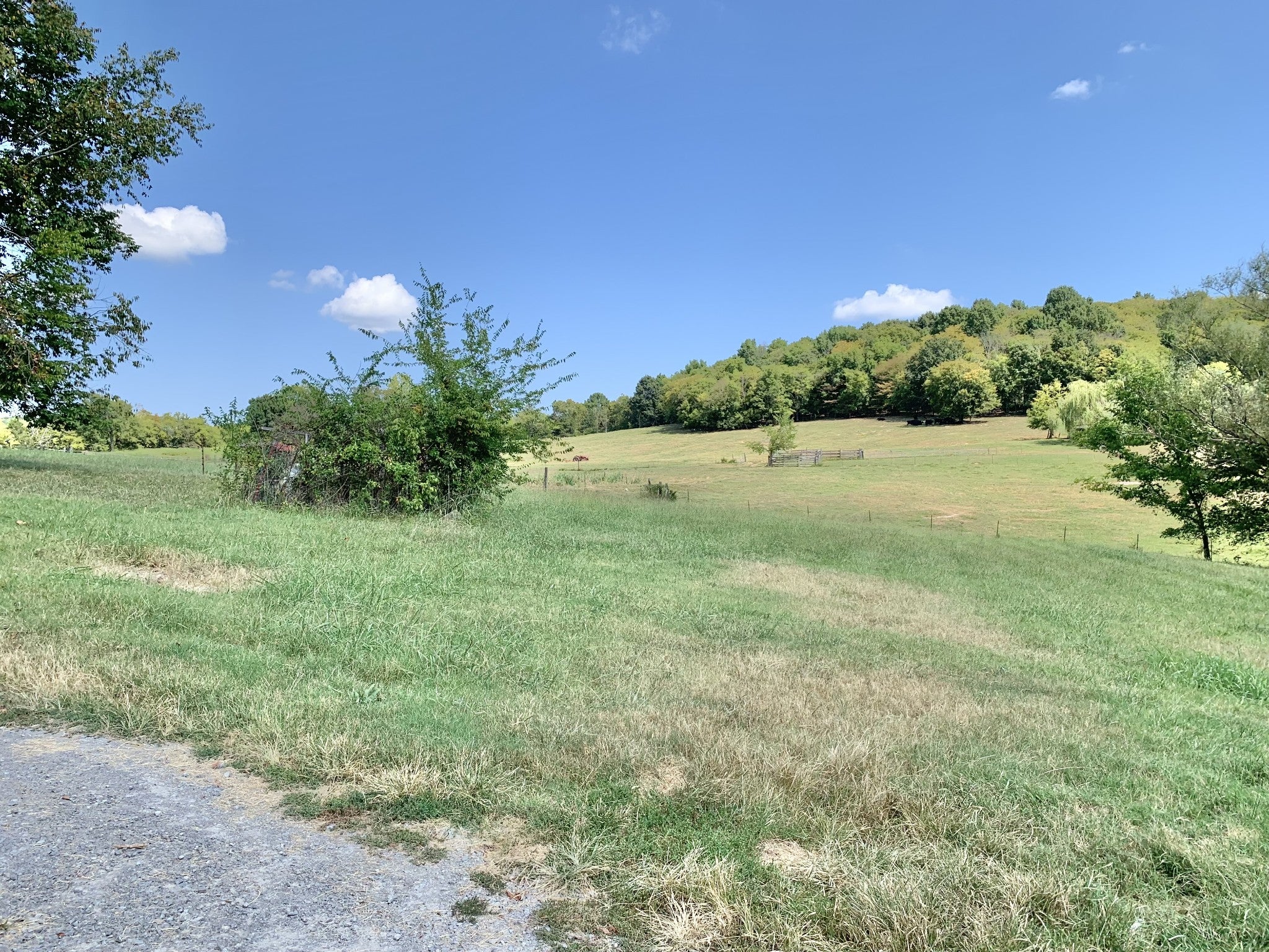 198 Pigeon Roost Rd