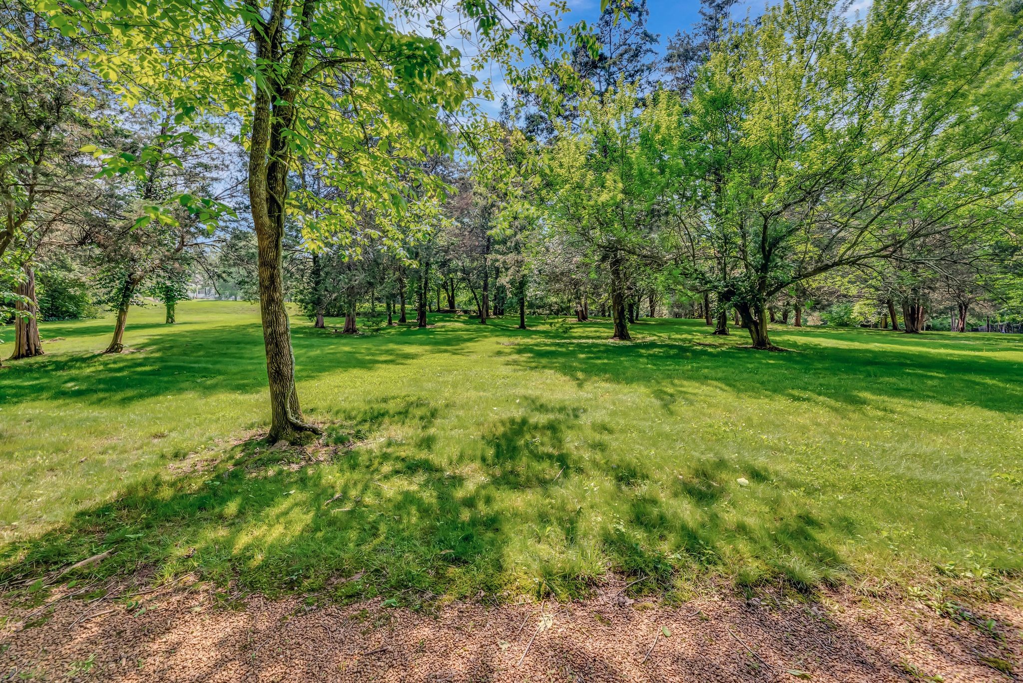 10 Bancroft Pl