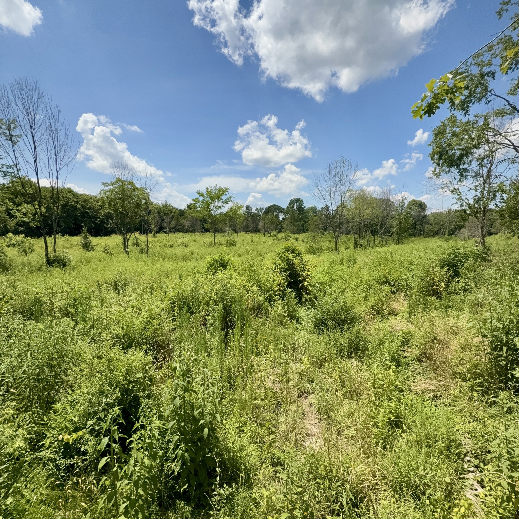 0 Bluebird Rd