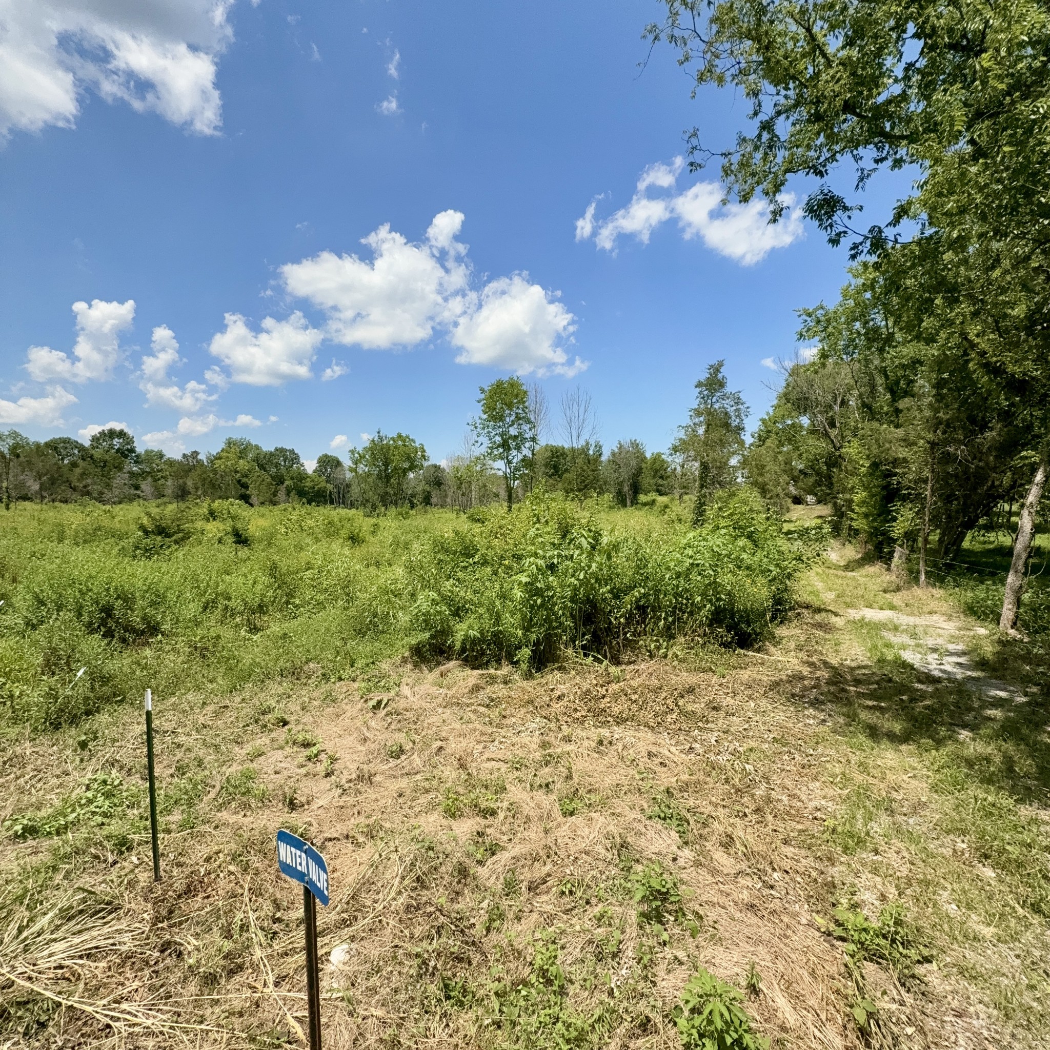 0 Bluebird Rd