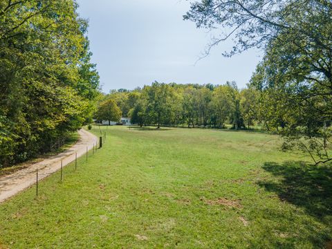 1657 Terrapin Branch Rd Mount Pleasant TN 38474