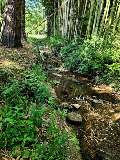 267 Graylynn Dr Nashville TN 37214