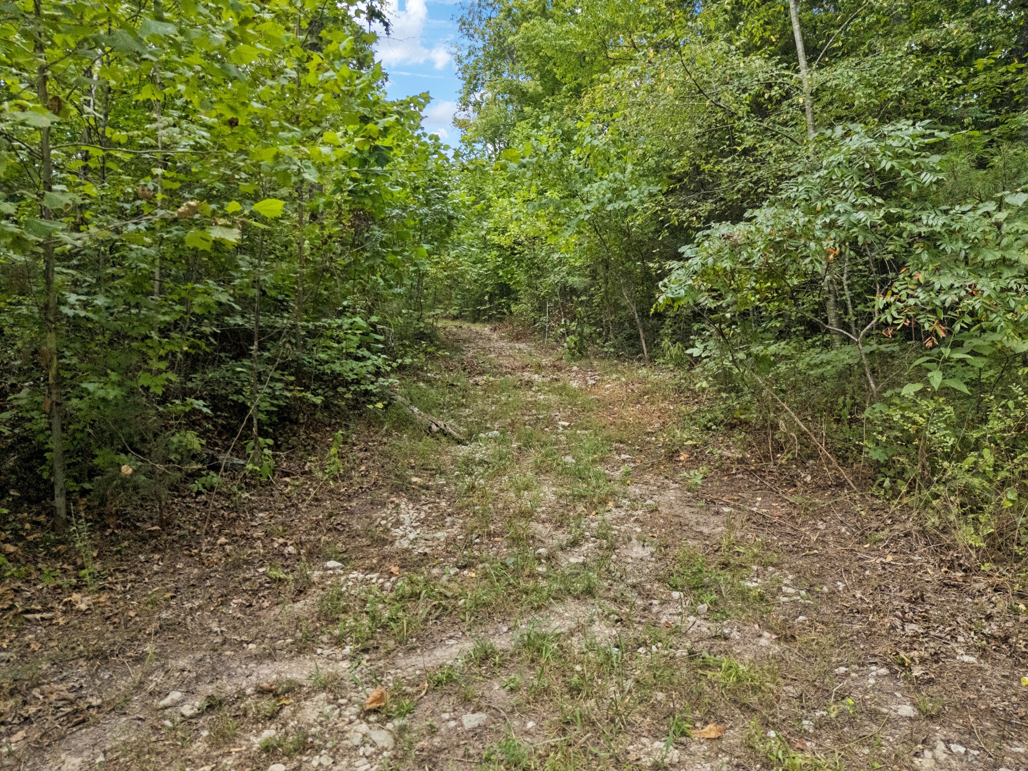 0 Trace Creek Rd