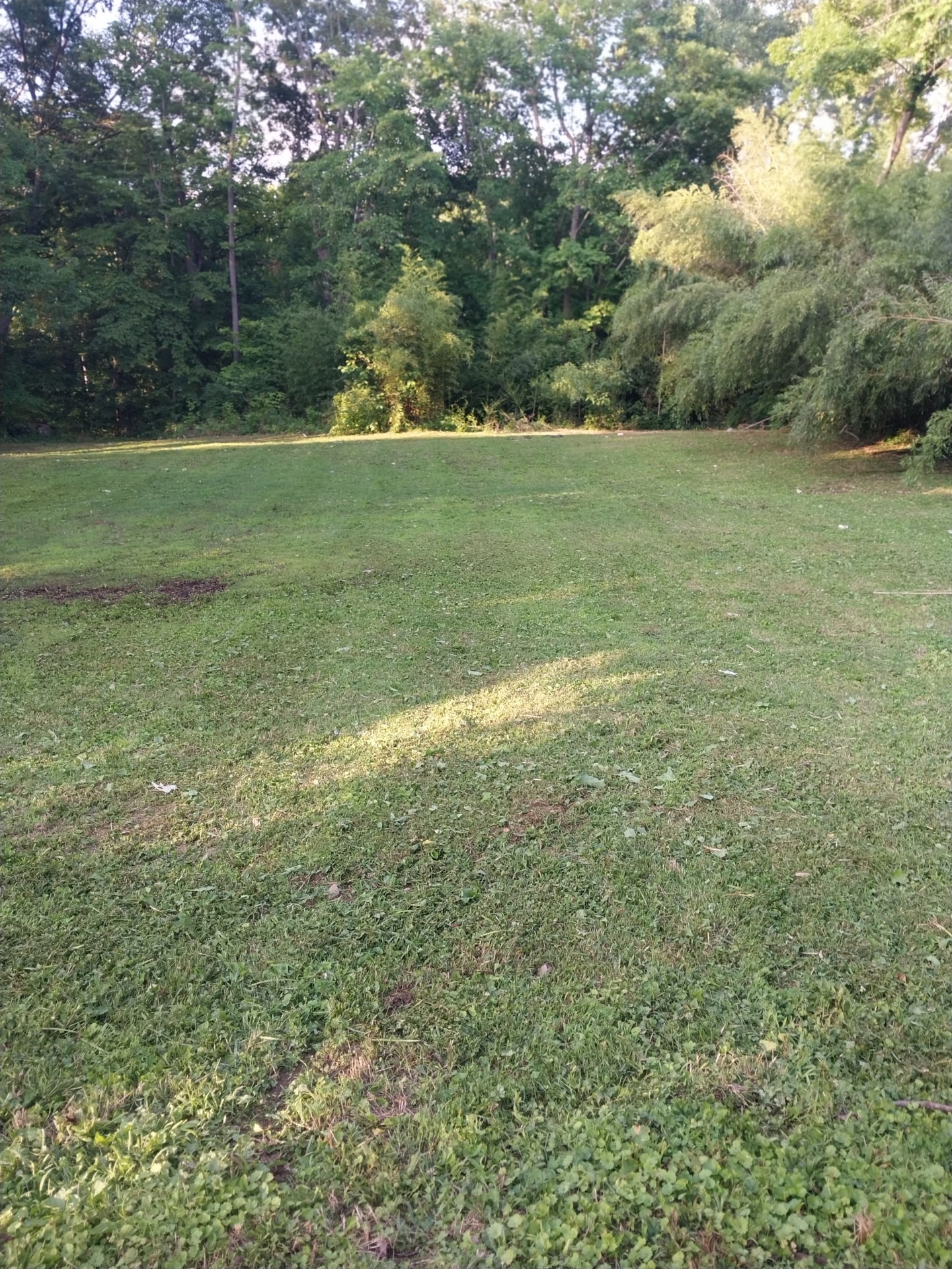 17 Spring Creek Hills