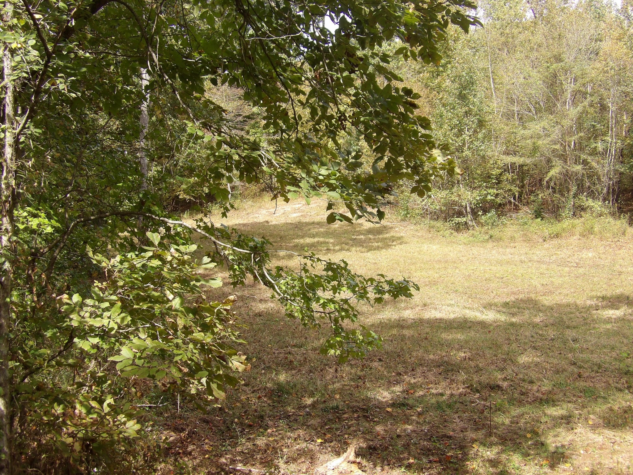 1726 Highway 230