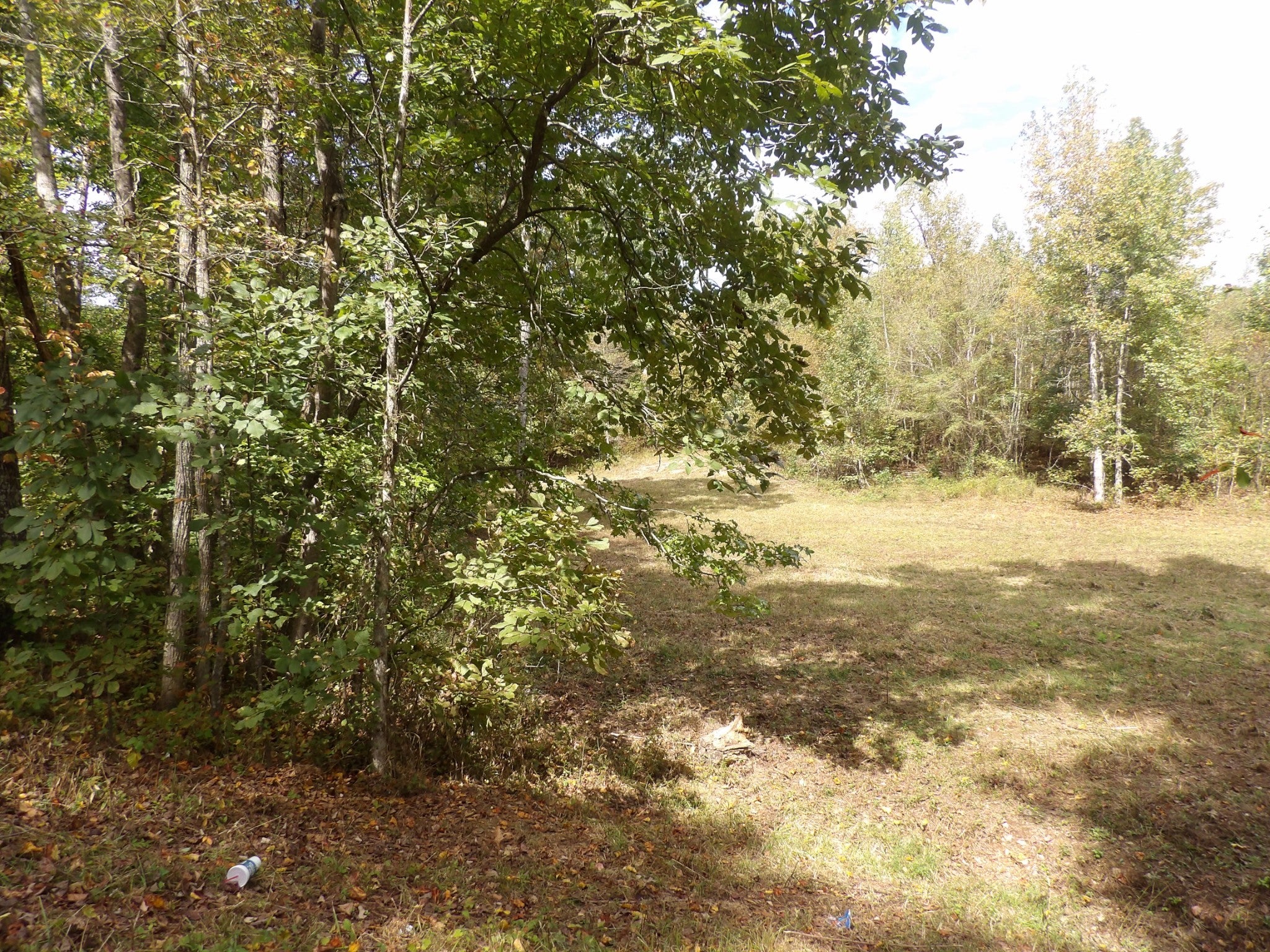 1726 Highway 230