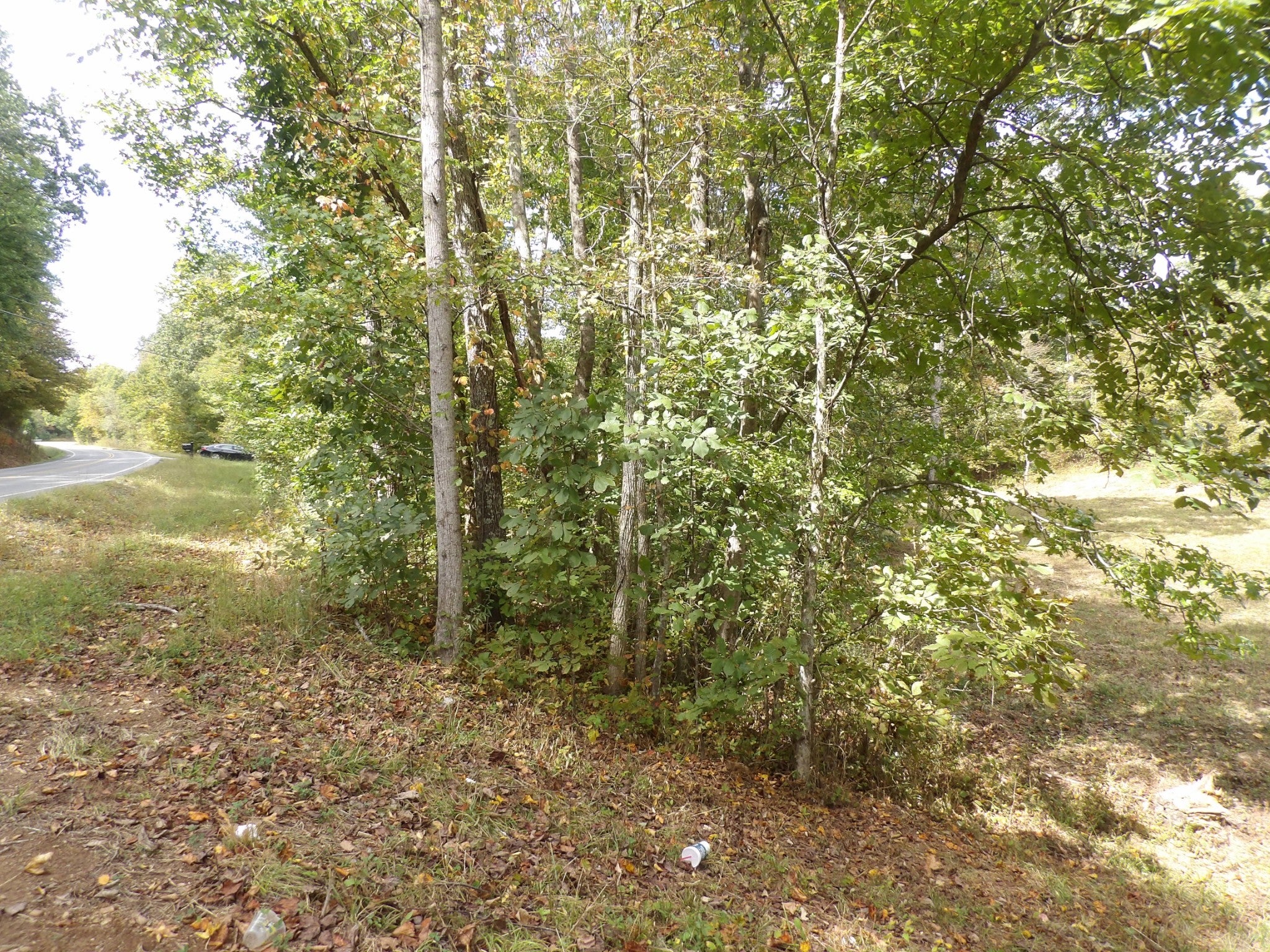 1726 Highway 230