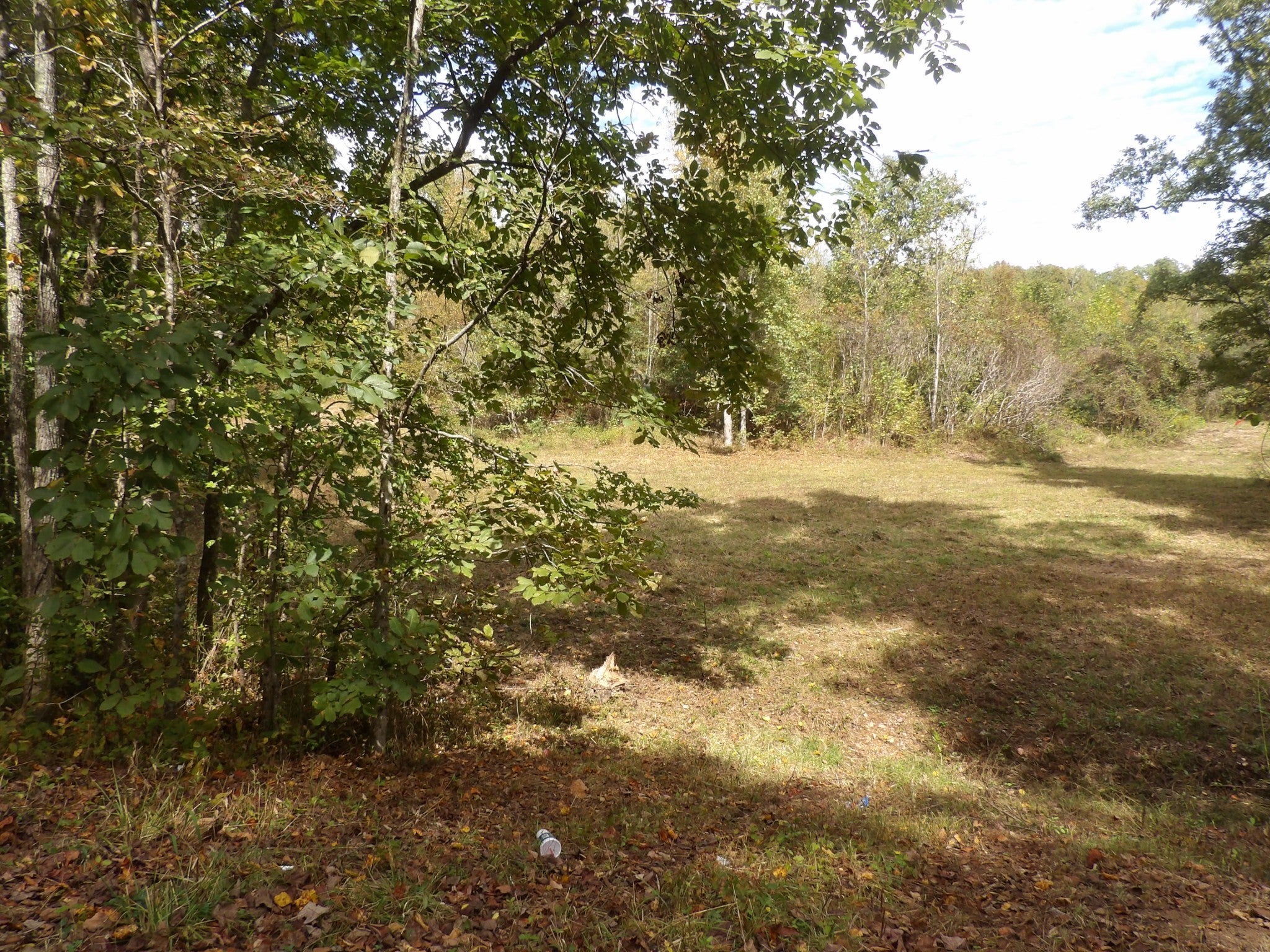 1726 Highway 230