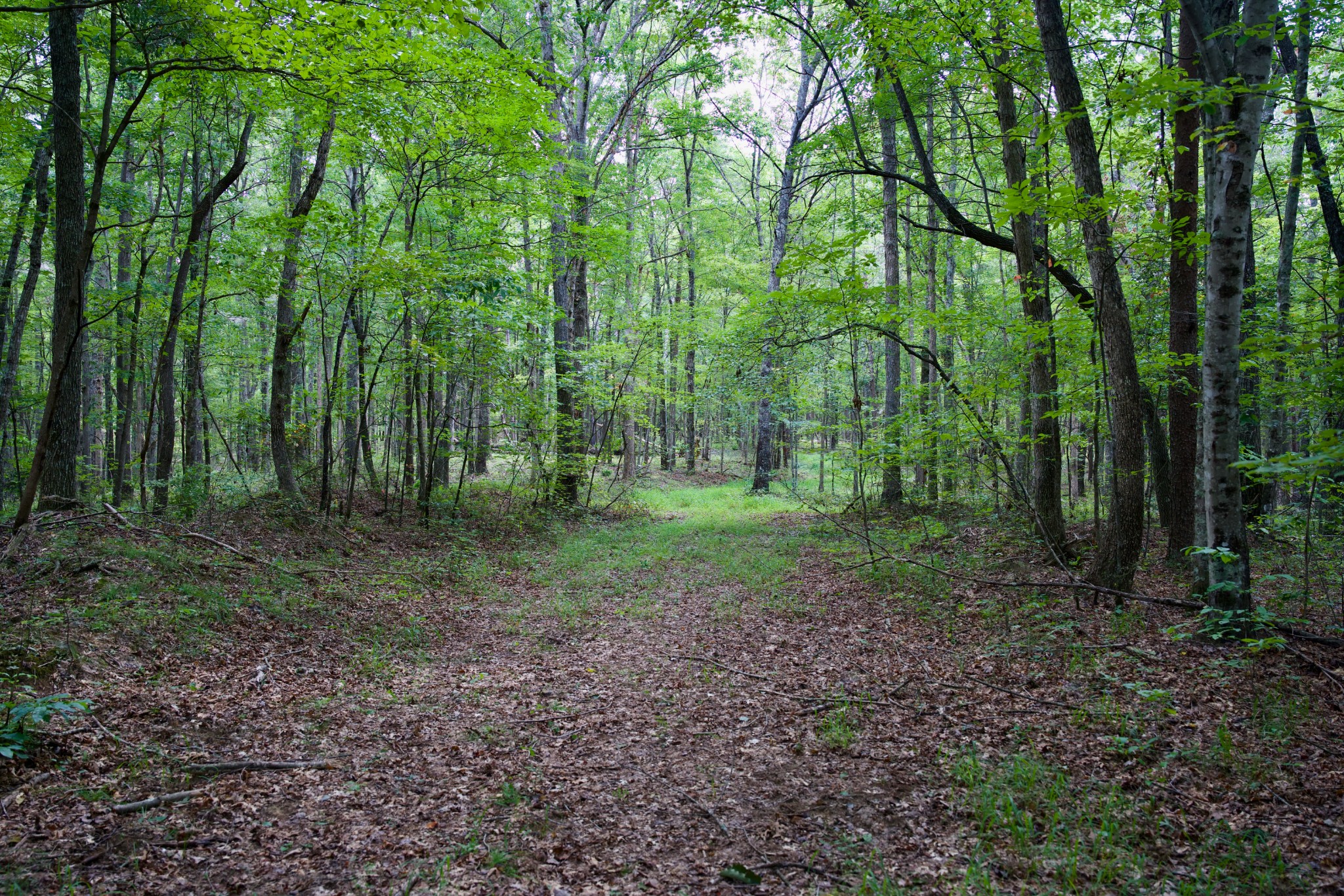 0 Fikes Field Rd & Greenfield Rd