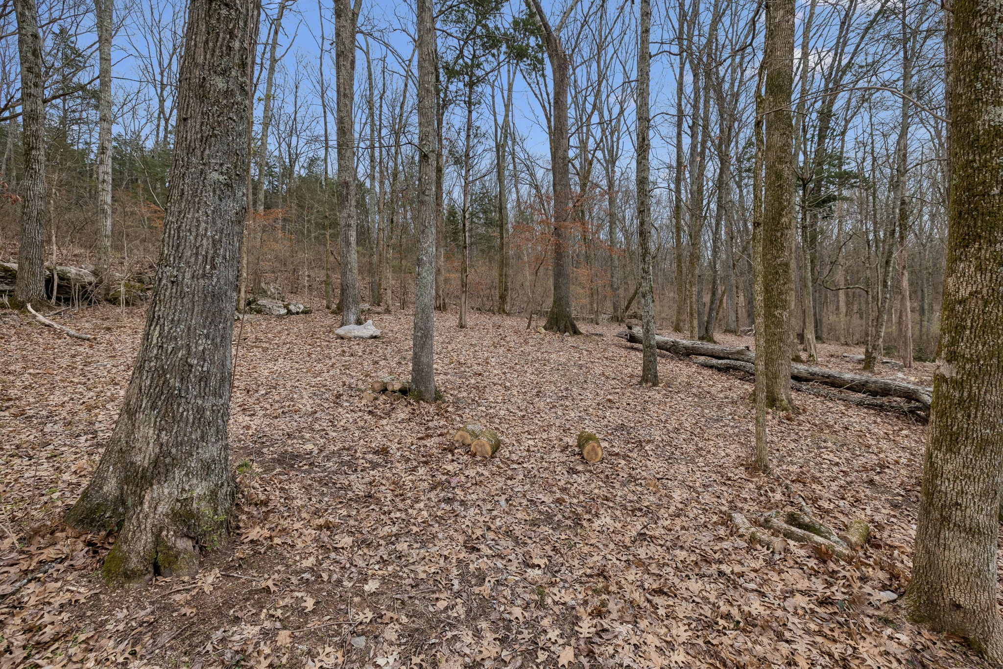 3726 Benders Ferry Rd