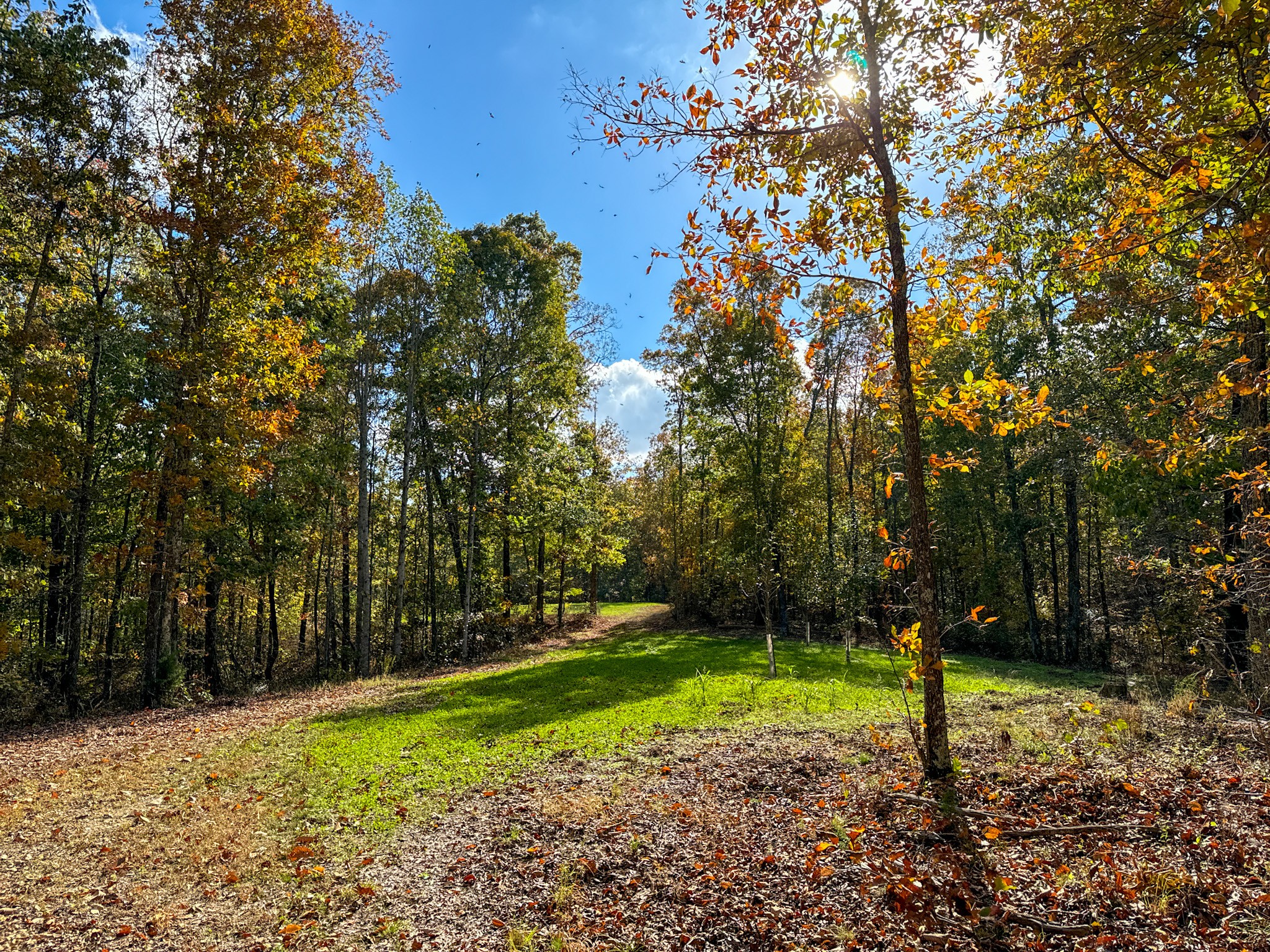 0 Ledbetter Hollow Rd