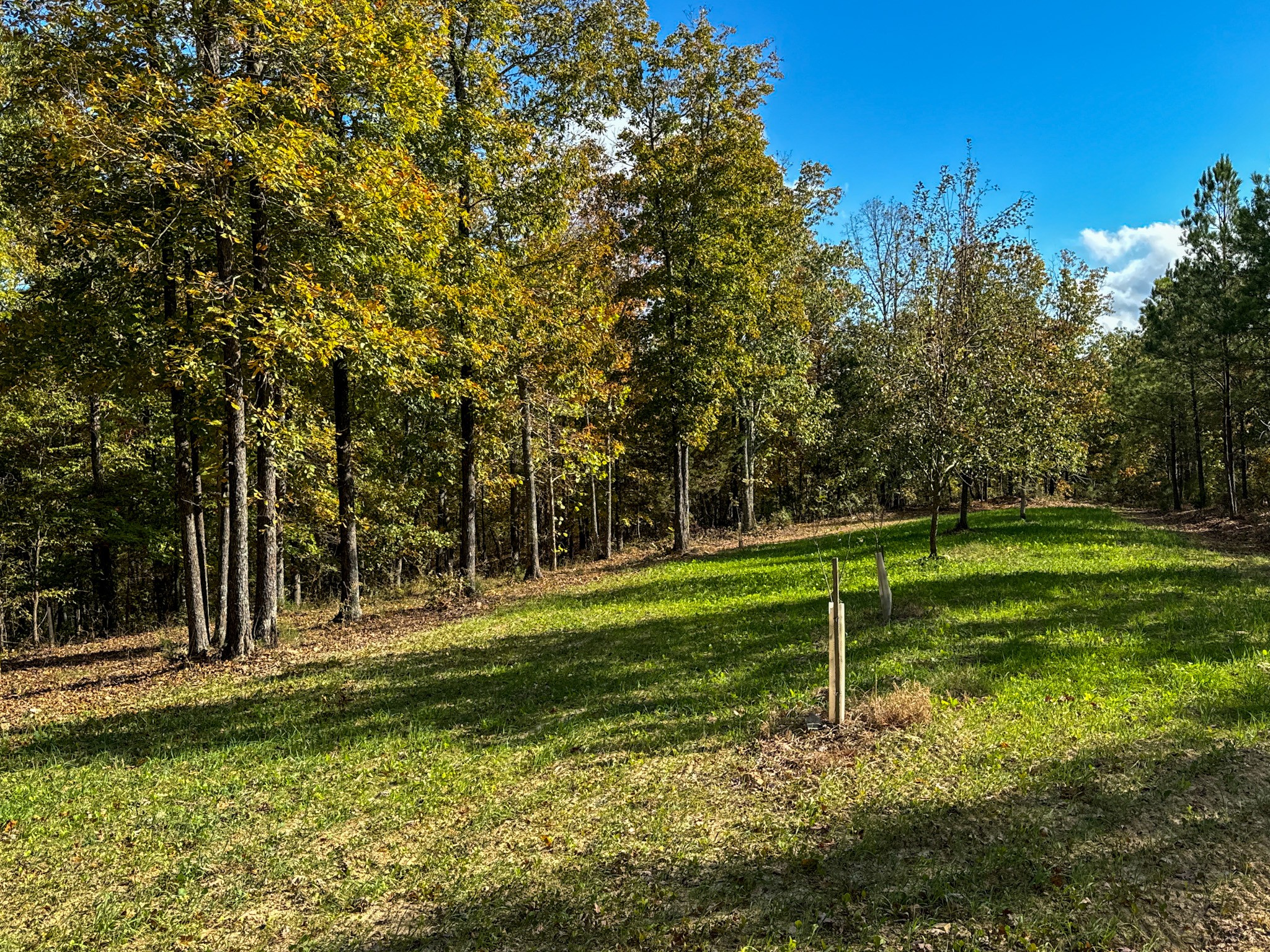 0 Ledbetter Hollow Rd