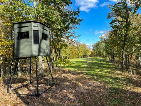 0 Ledbetter Hollow Rd Linden TN 37096