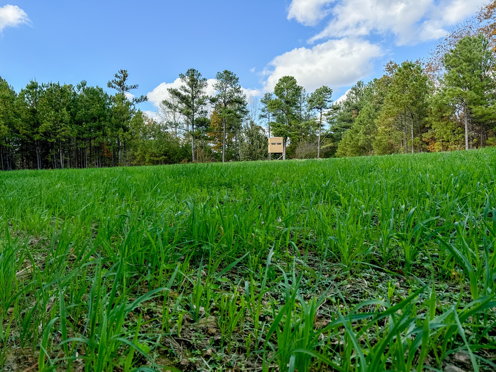 0 Ledbetter Hollow Rd