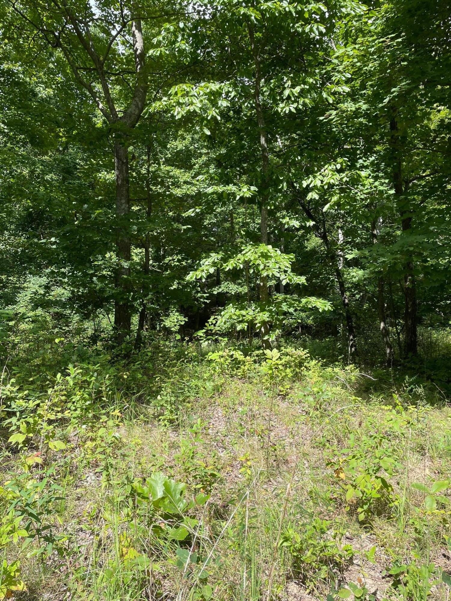 0 Roaring Creek Road
