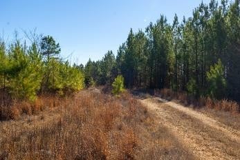 0 White Oak Rd