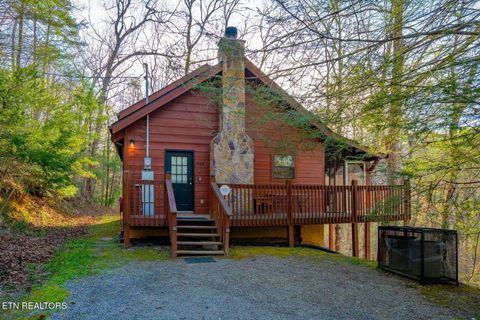 Photo of 4164 Lumber Jack Way, Sevierville, TN 37876 (MLS # 3228356)