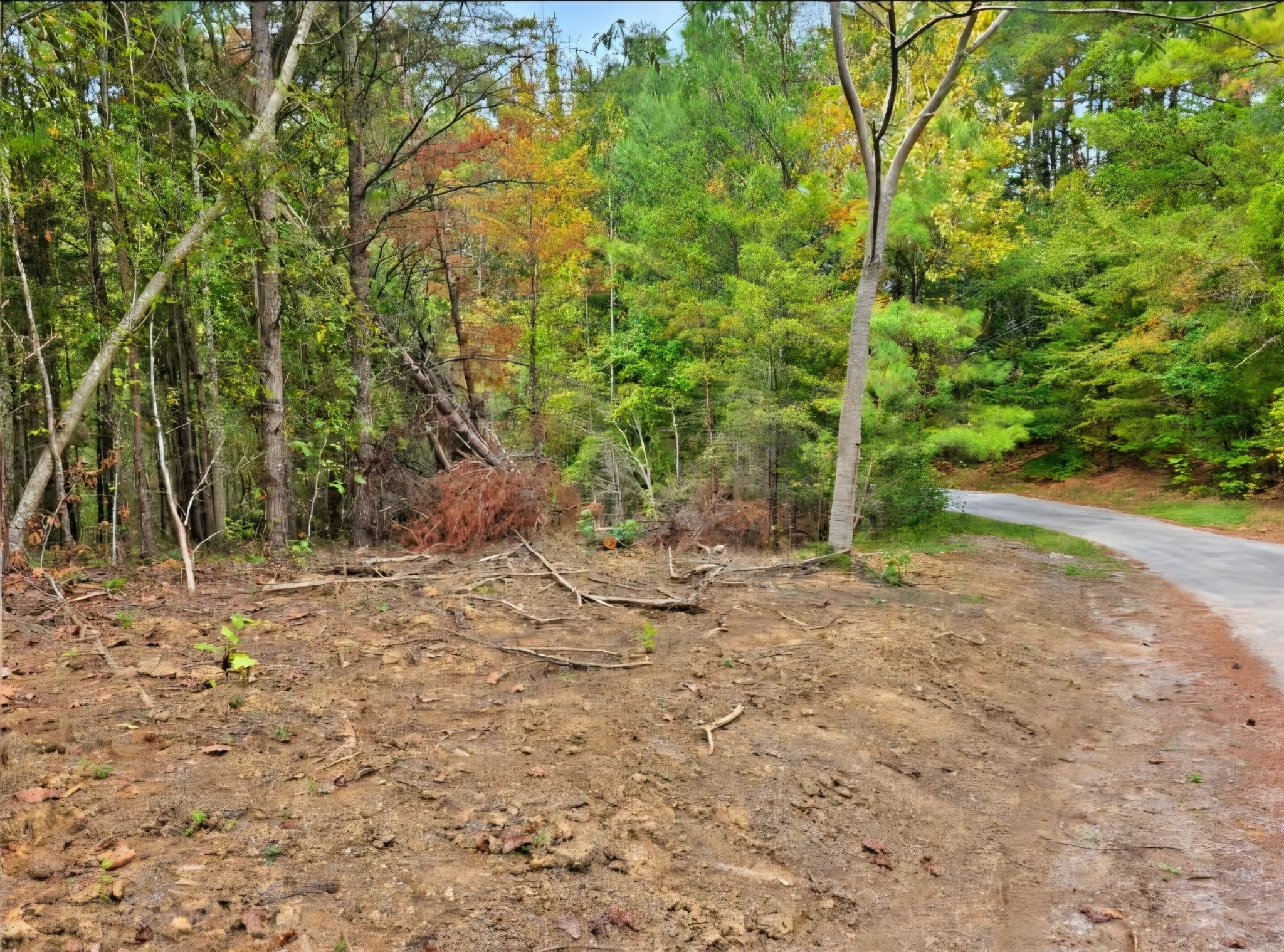 0 Old Pinhook Rd
