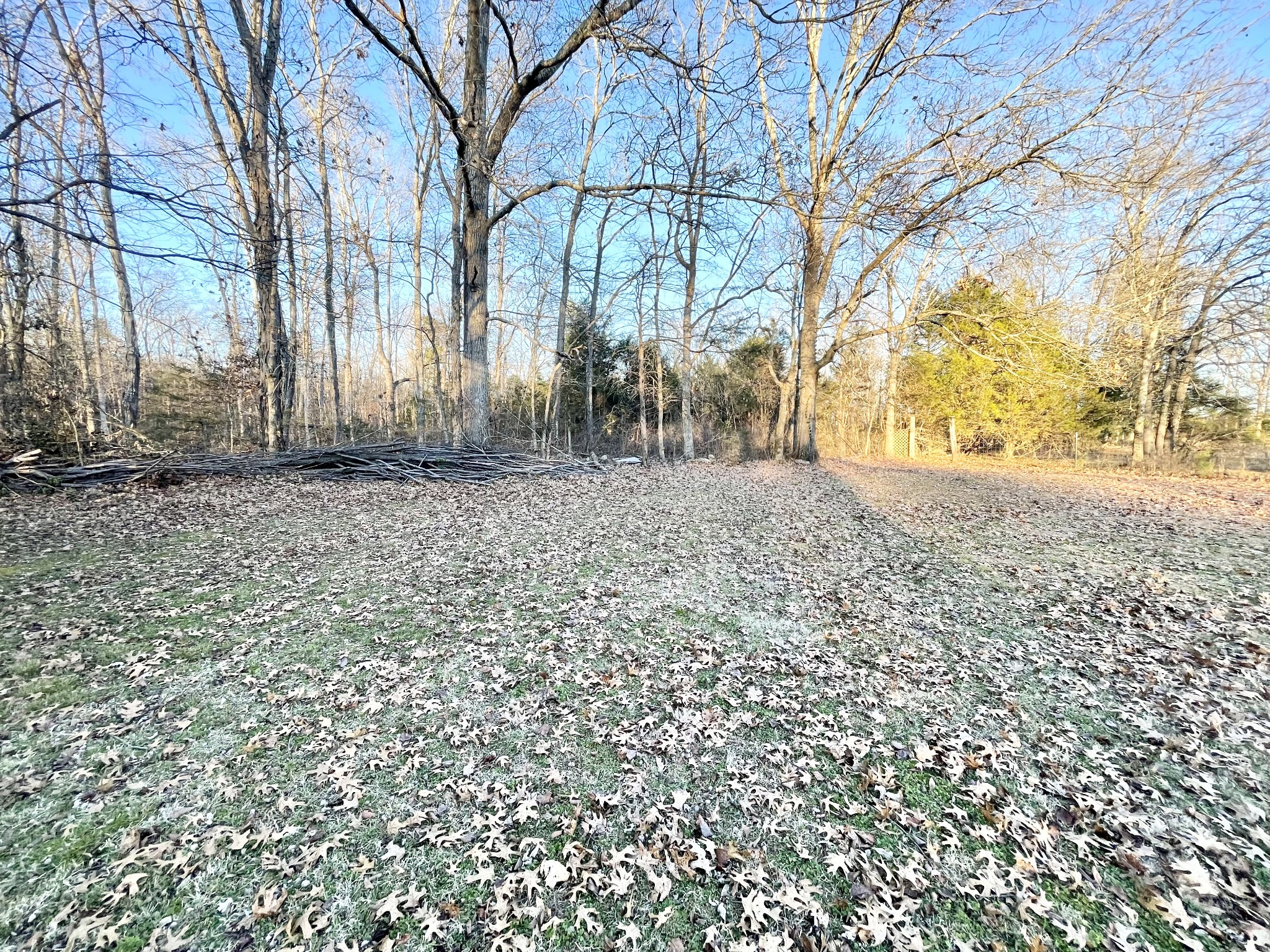 1598 Wilburn Phillips Rd