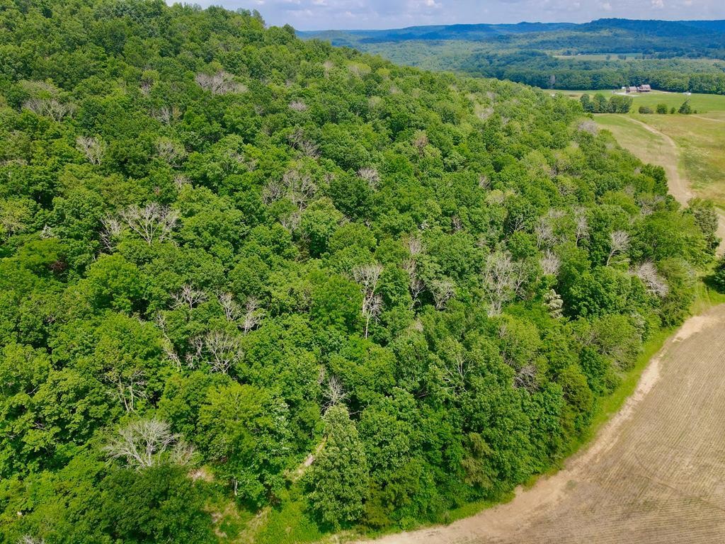 0 Thorn Gap Road