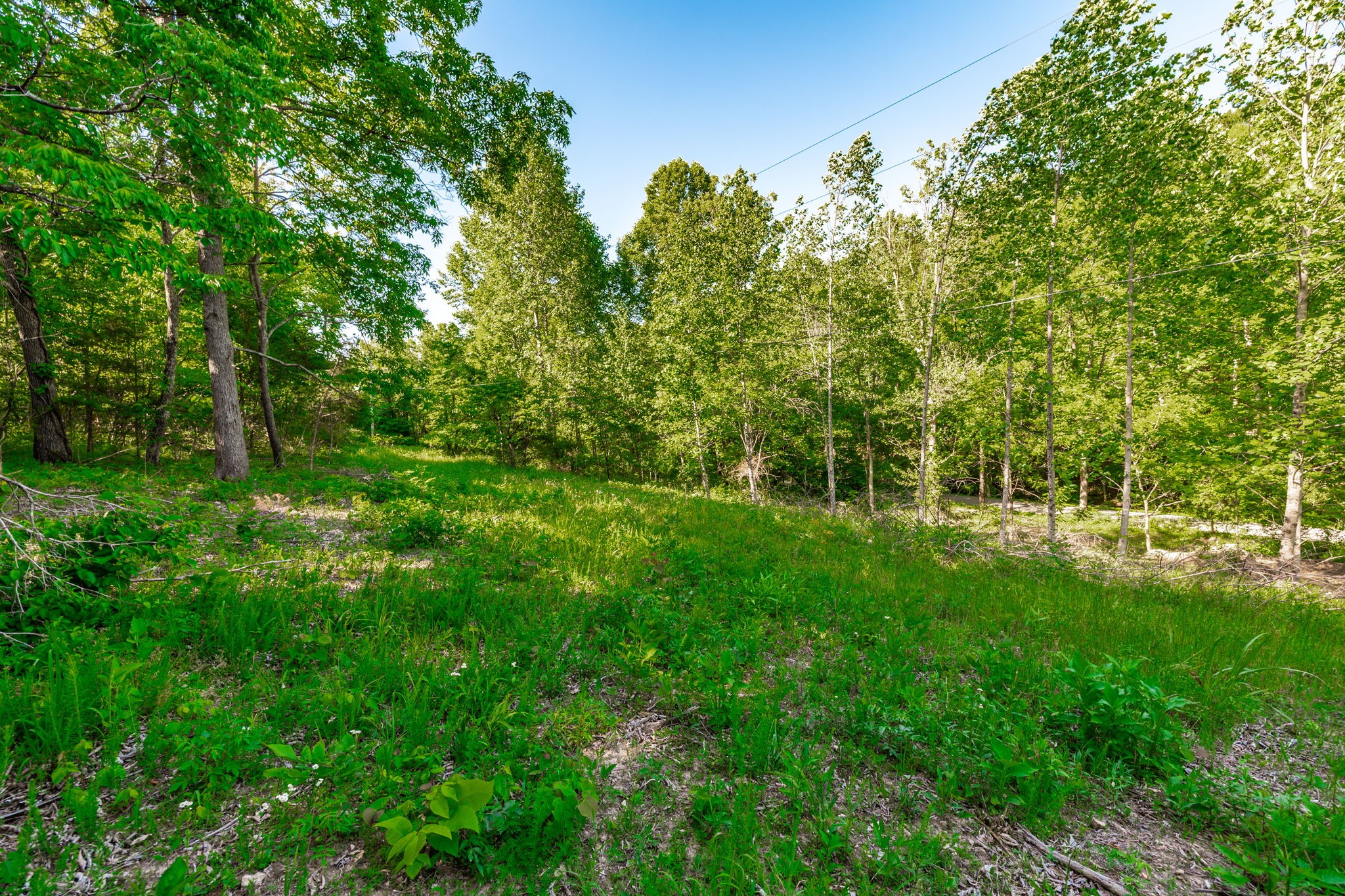 1170 James Brown Rd