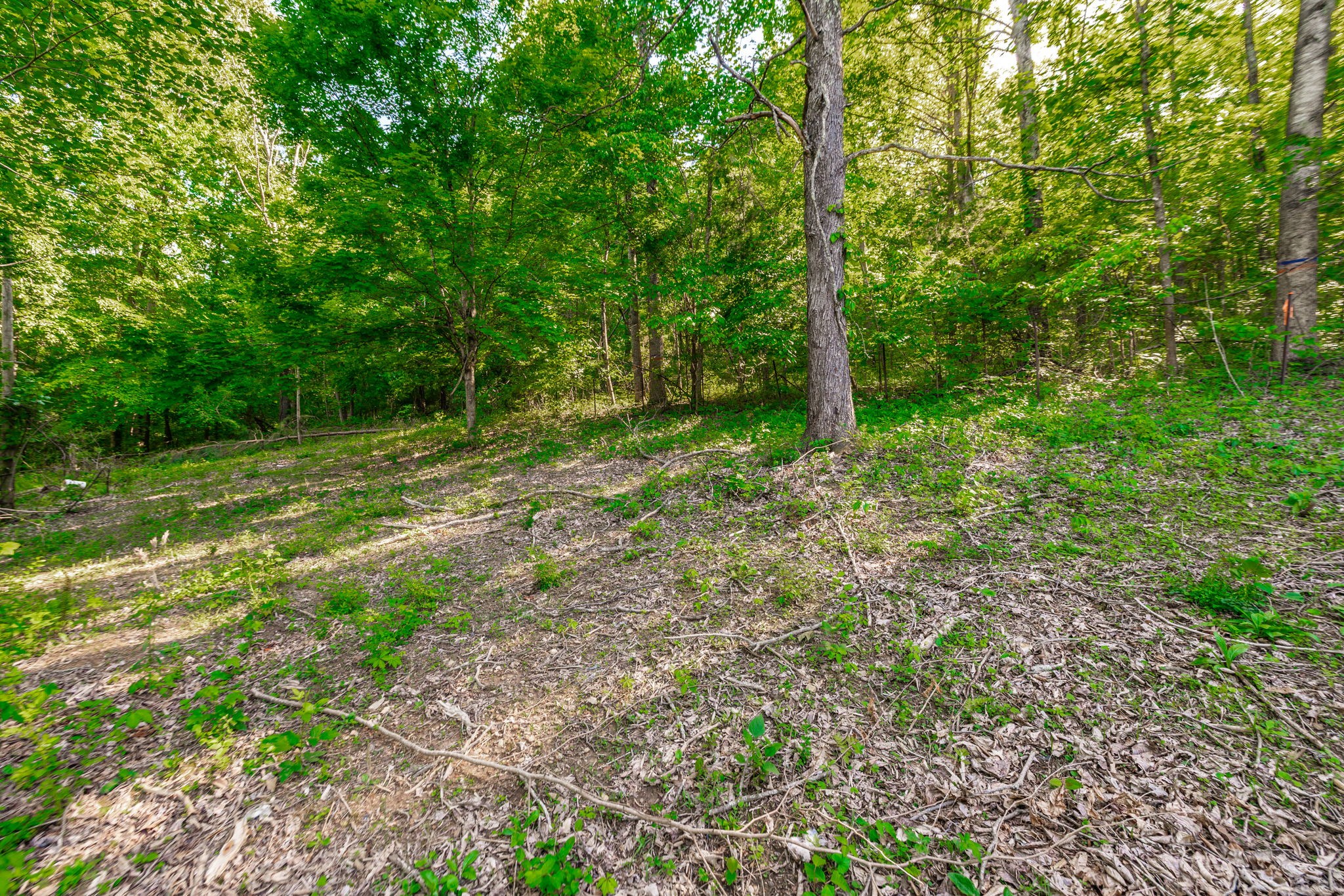 1170 James Brown Rd