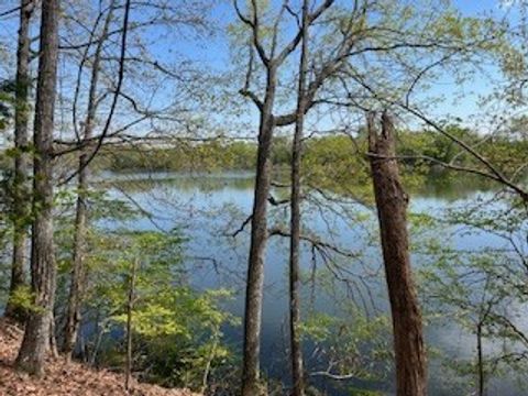 0 Canary Lane Estill Springs TN 37330