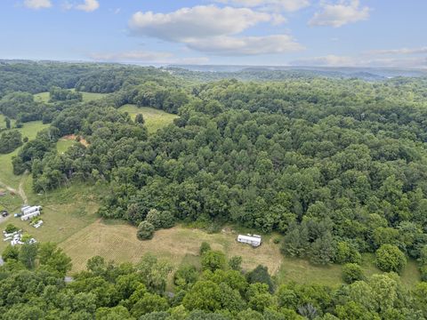 55 Thompson Hollow Rd Taft TN 38488