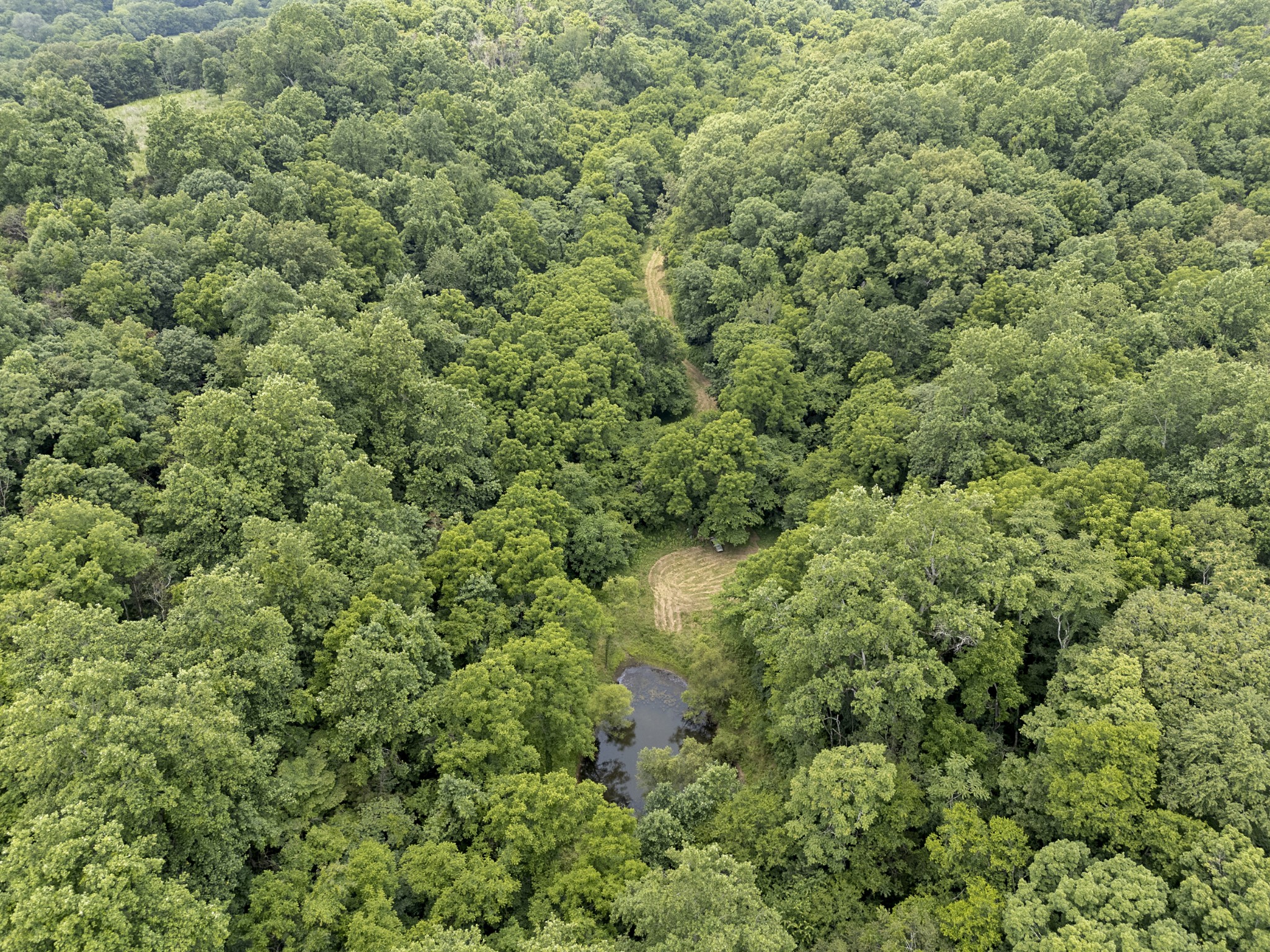 55 Thompson Hollow Rd