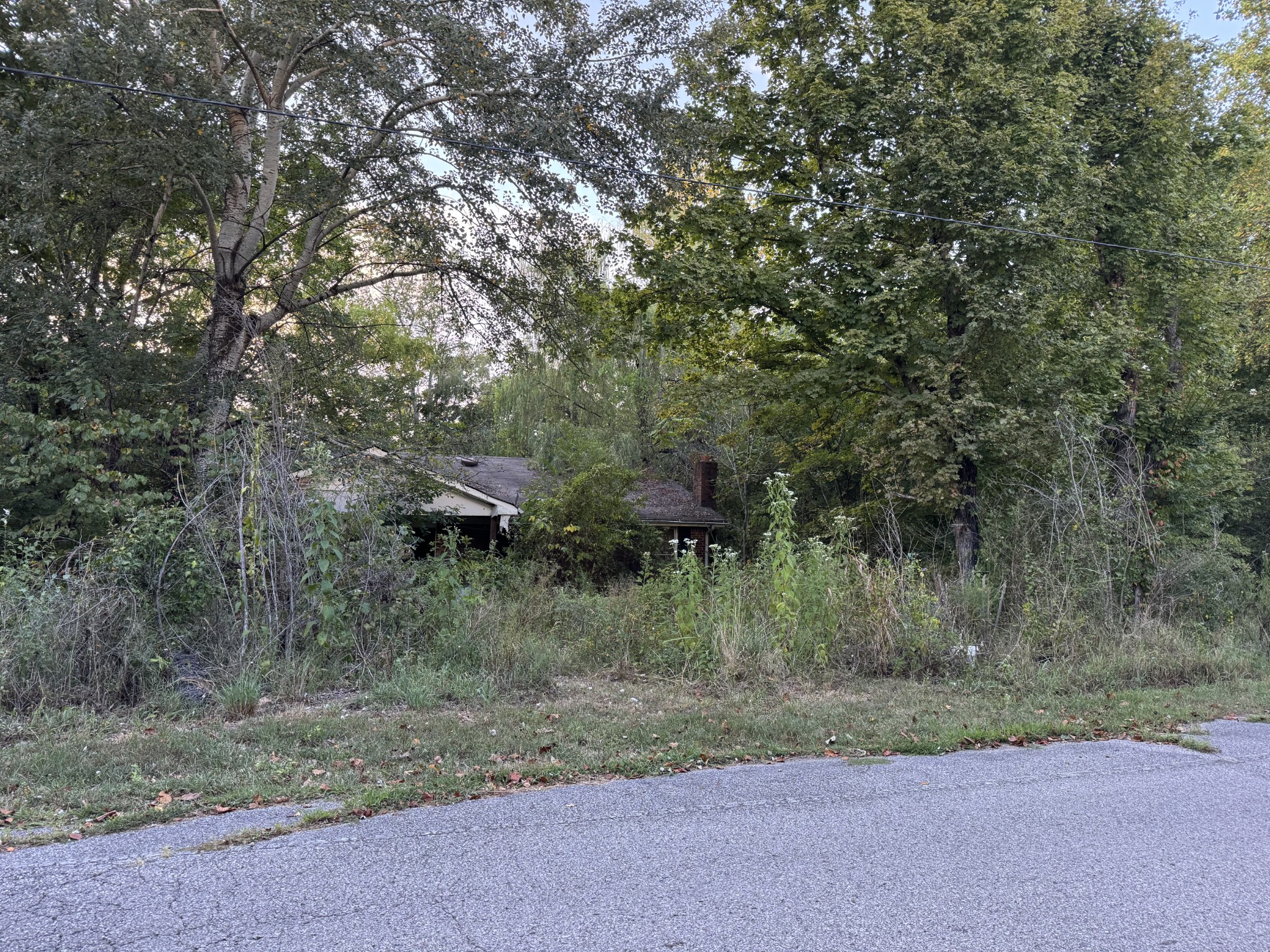 1339 Mount Herman Rd