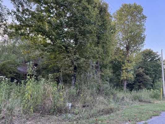 1339 MOUNT HERMAN RD, SOUTHSIDE, TN 37171 - Image bf26d20f5d338b4ea02f2b61d6d3a737/3577523137
