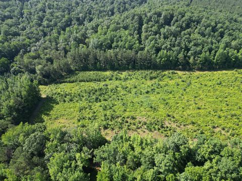 0 Brushy Road Centerville TN 37033