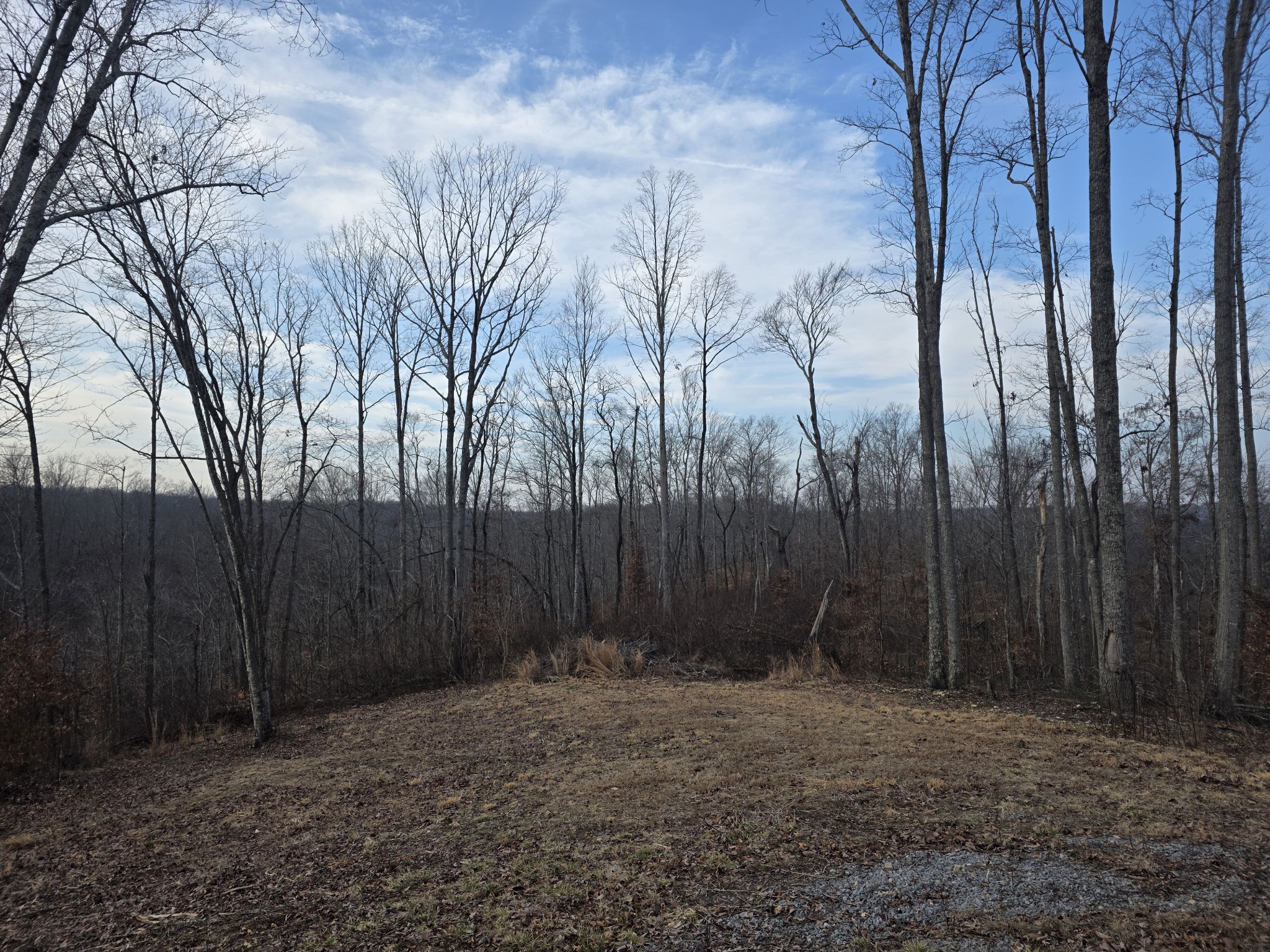 617 Pleasant Hill Cemetery Ln