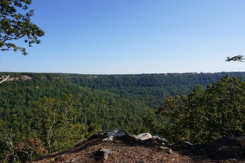 0 Crockett Point Jasper TN 37347